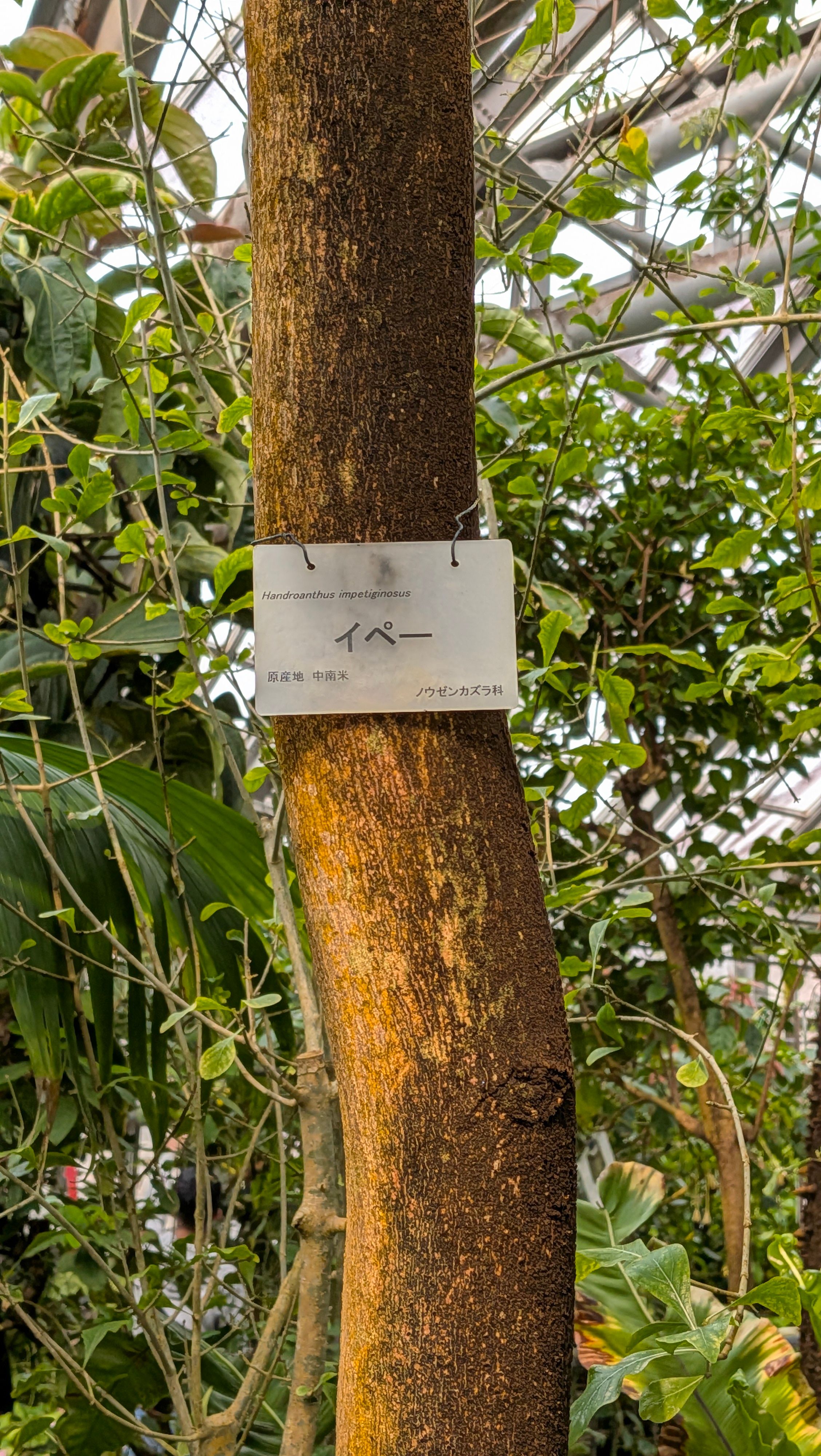 フォロワーのフォロワー❓