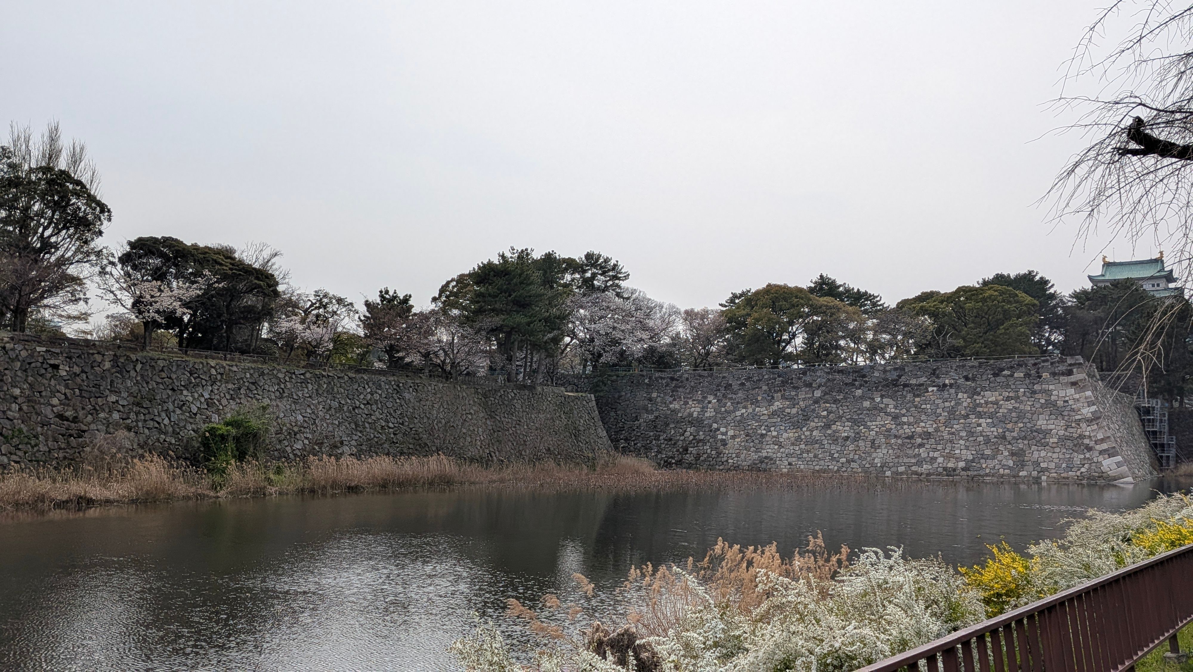 名古屋城(お堀のみ)