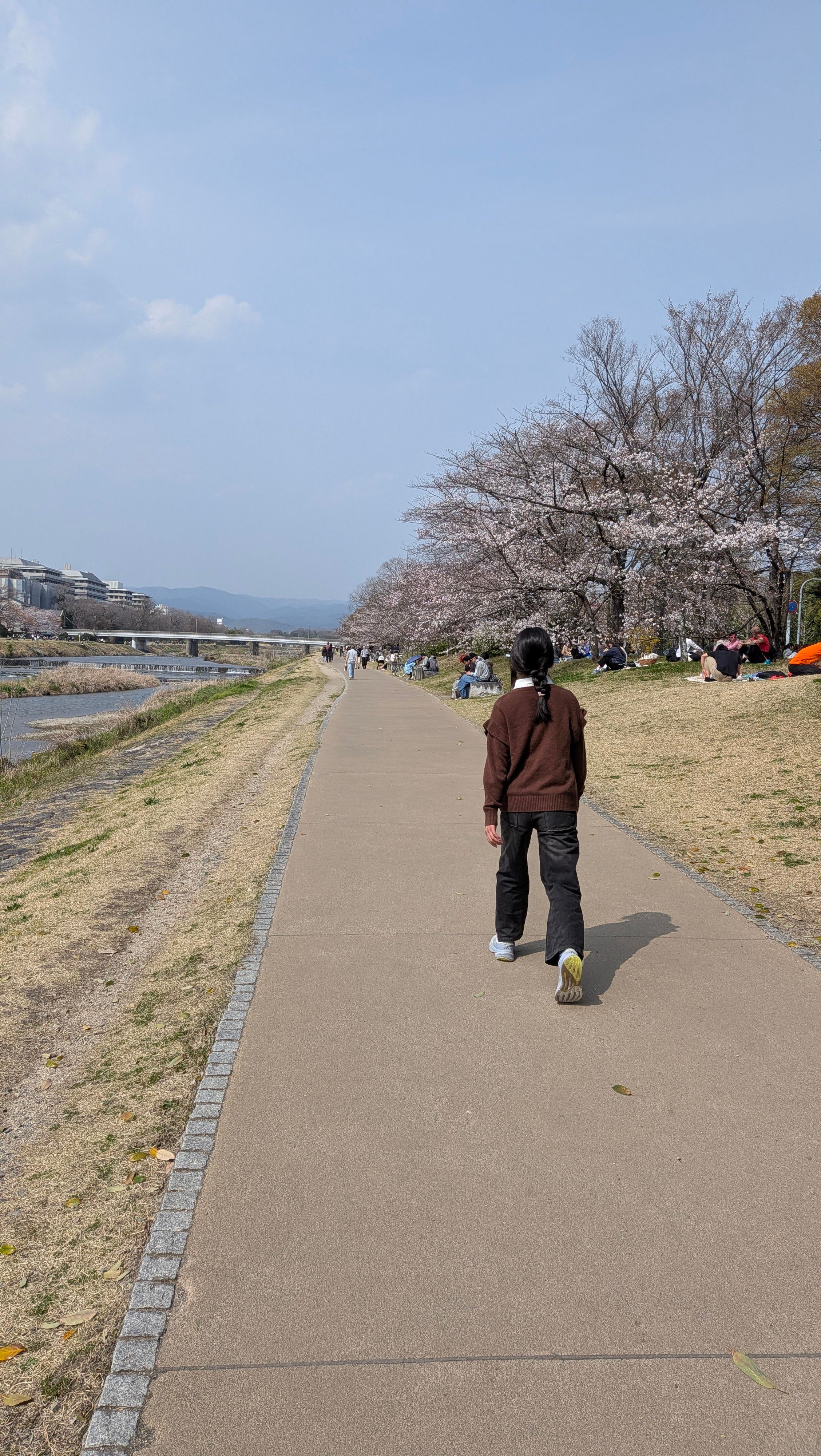 お花見してる人たくさんいて良かった、俺も混ぜてくれ