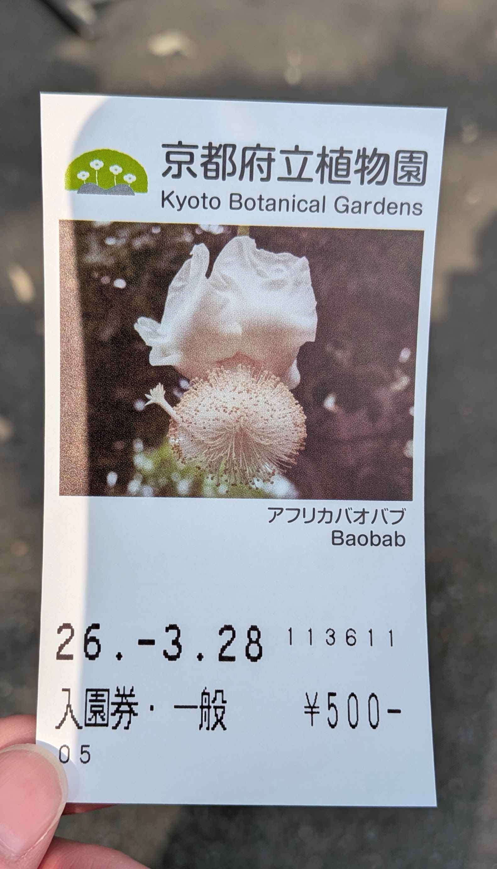 財布の現金が全然なくて結構ギリだった