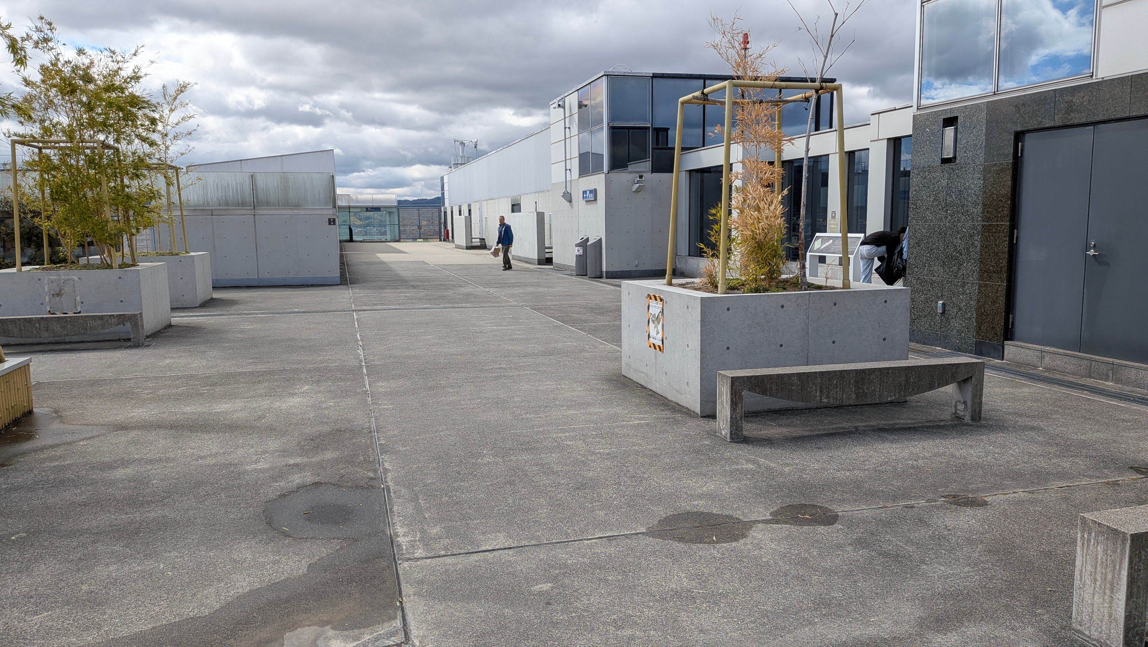 だめだよ、沙弥香