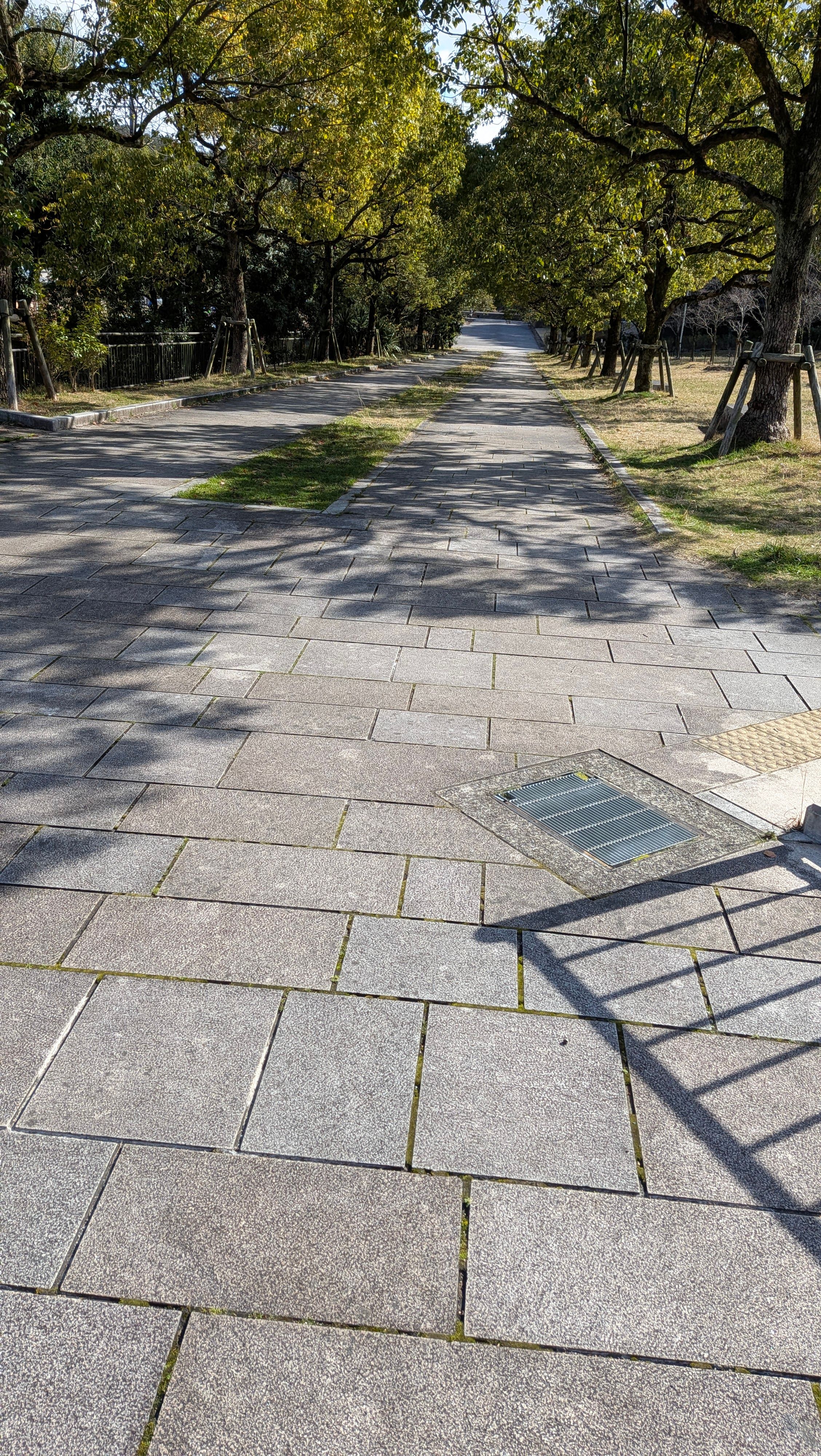 見ろ！この何もなさを！