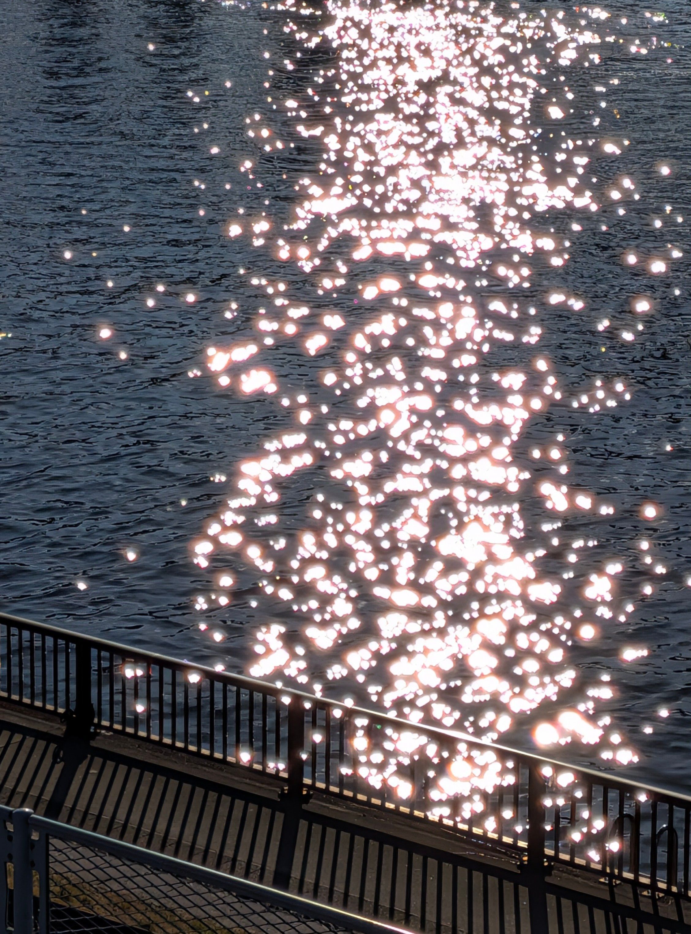 水面がキラキラで眩しい!