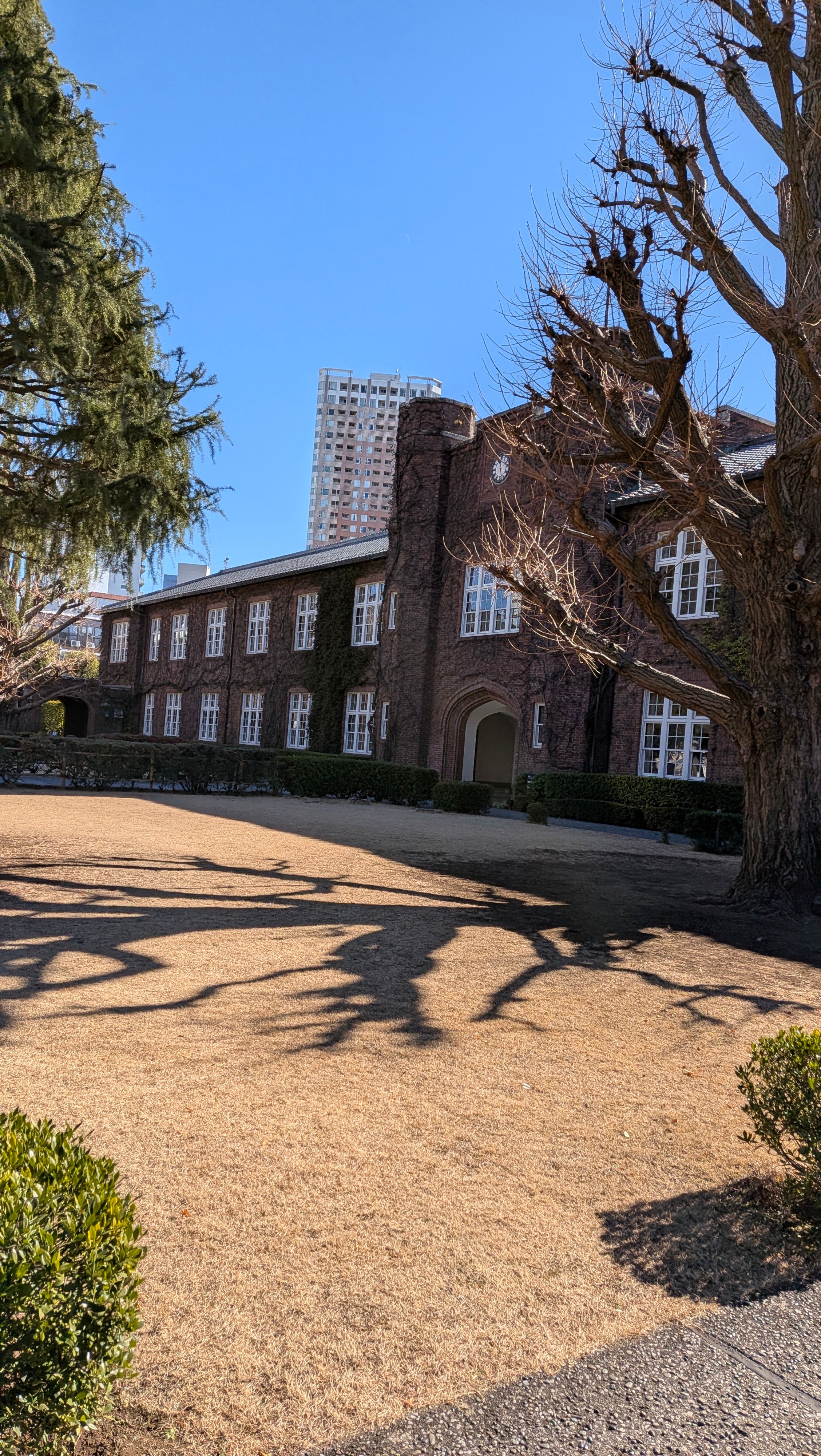 もうこないからねー