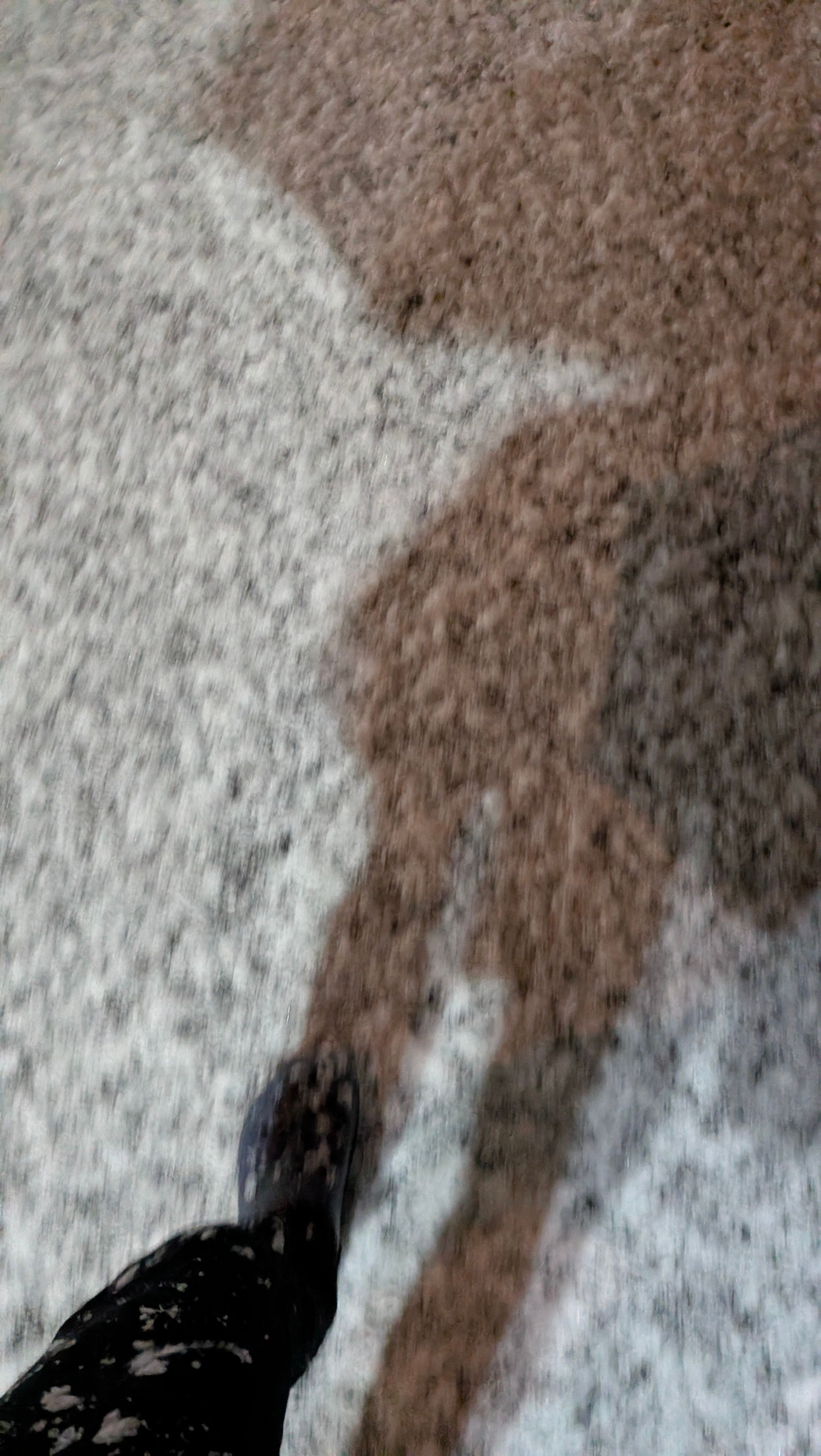 クロックスで死ぬかと思った