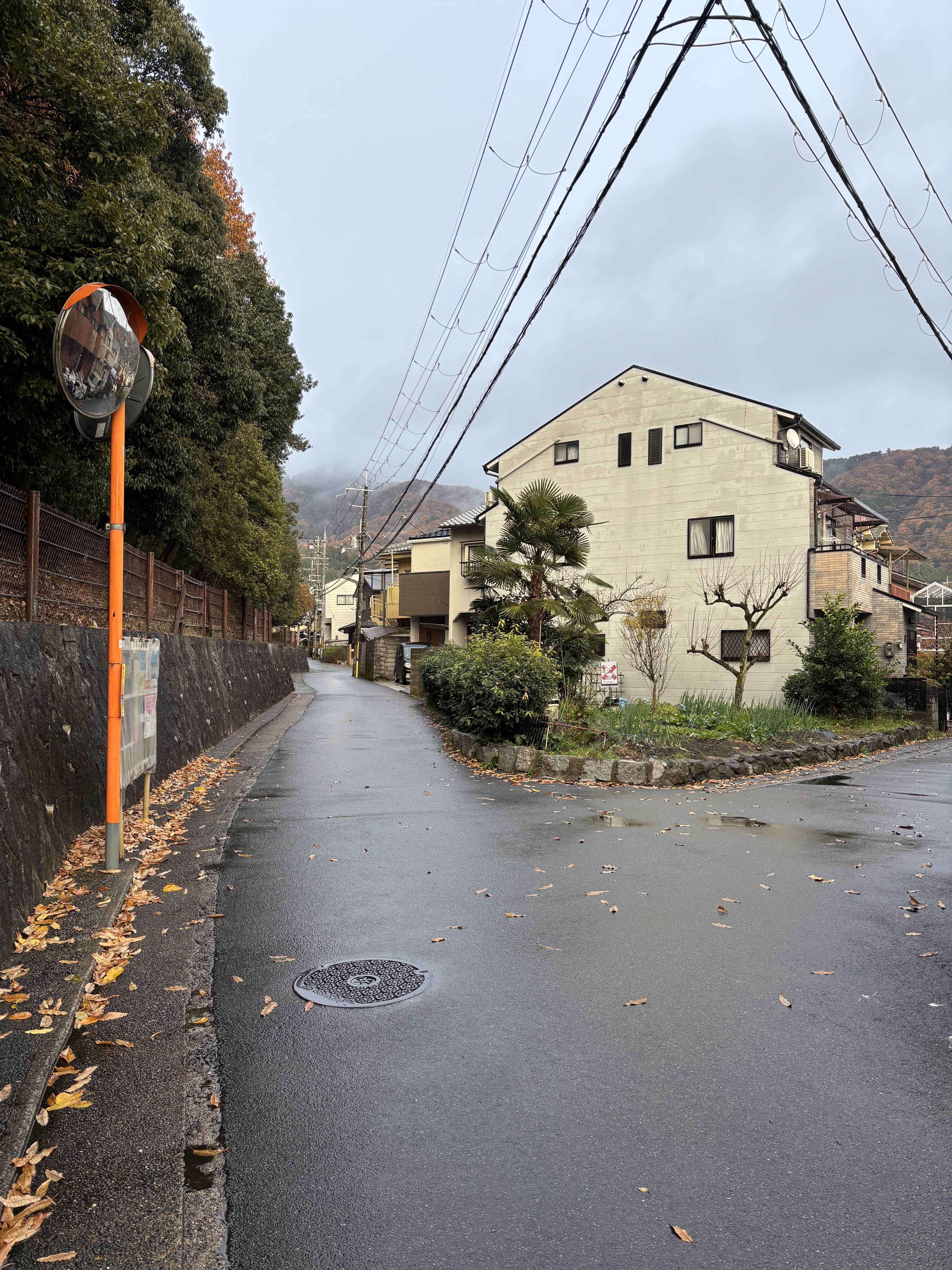 めぐる…どこだ…？winter