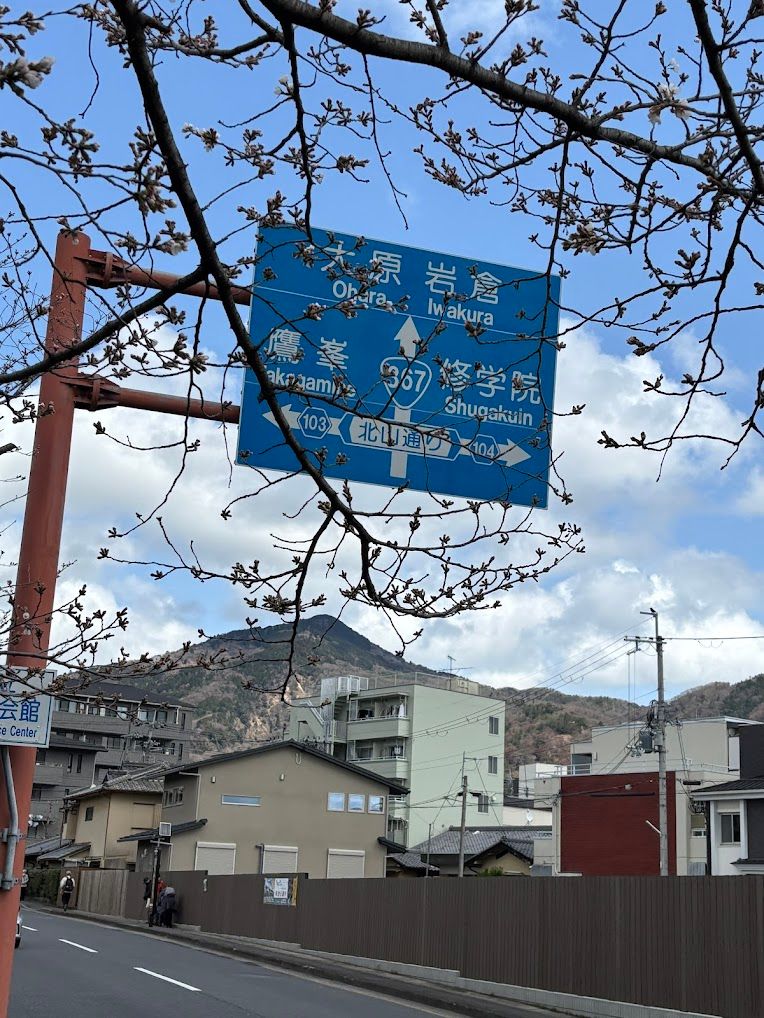 川沿い散歩、良すぎた