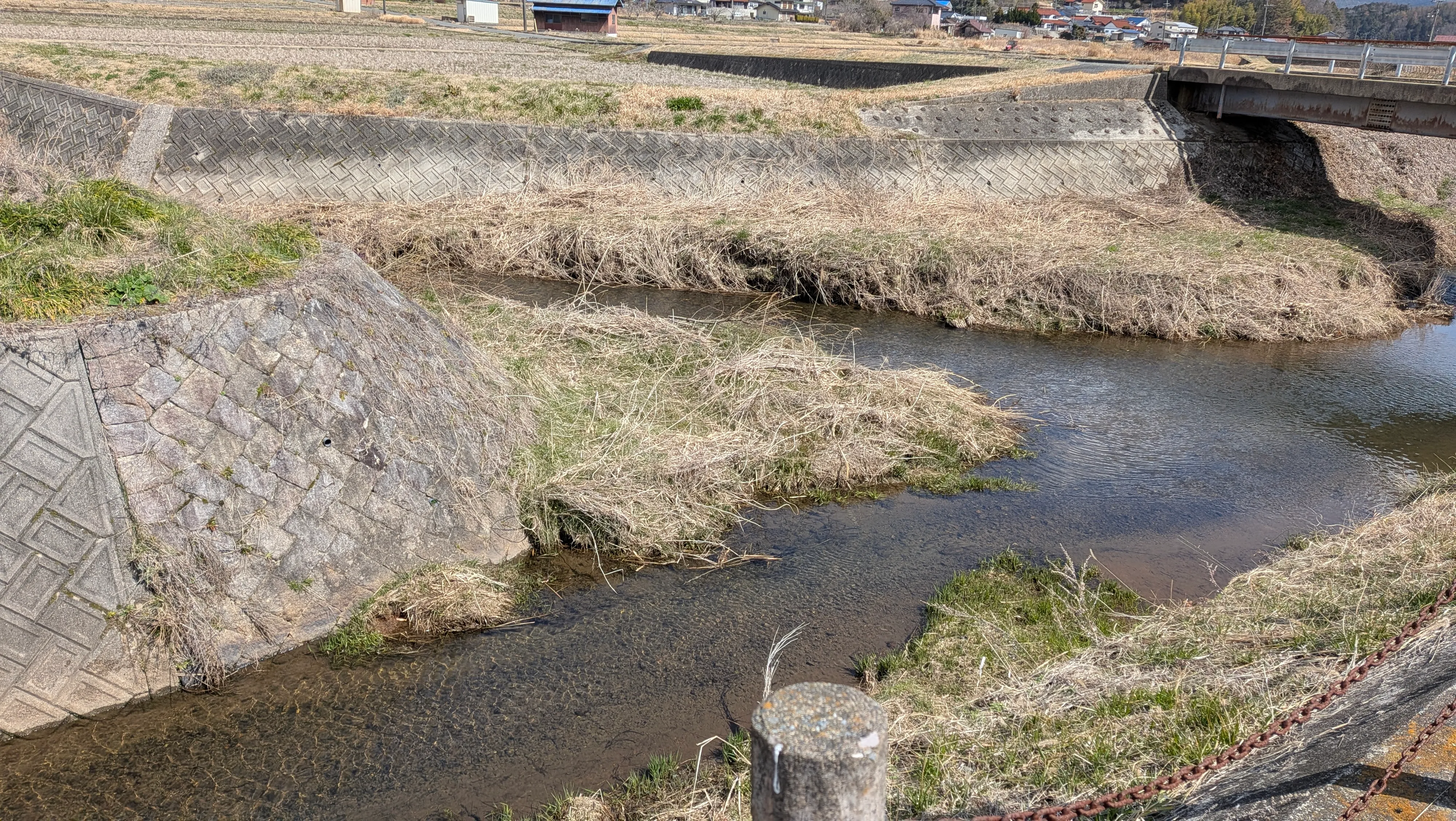 広島の鴨川デルタと命名