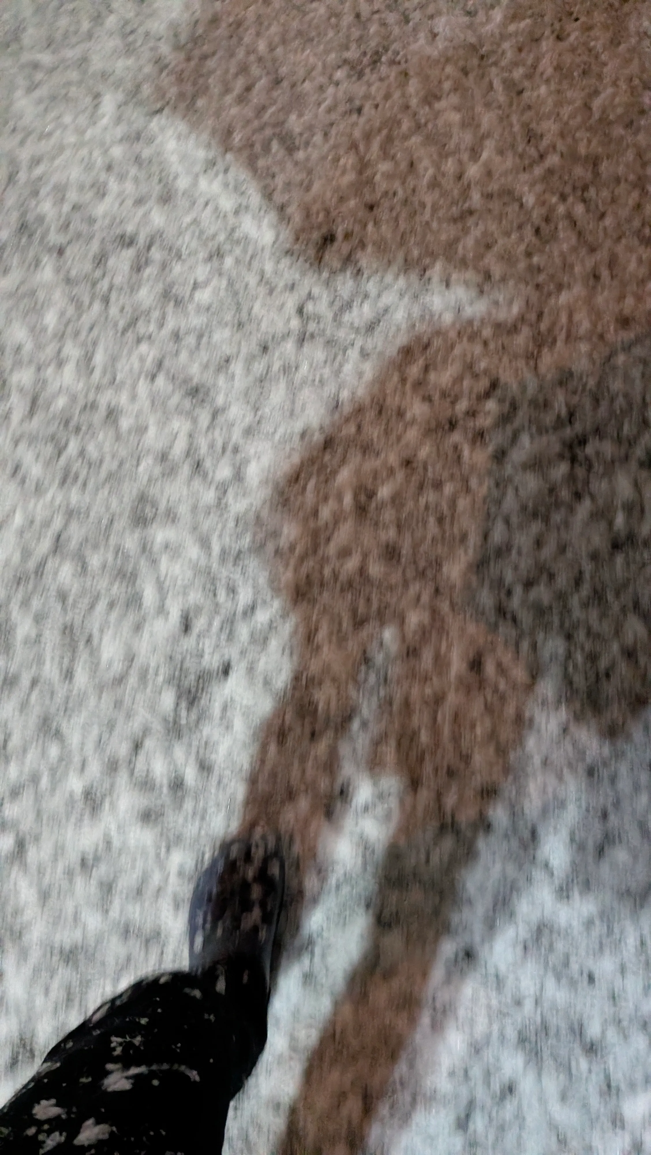 クロックスで死ぬかと思った