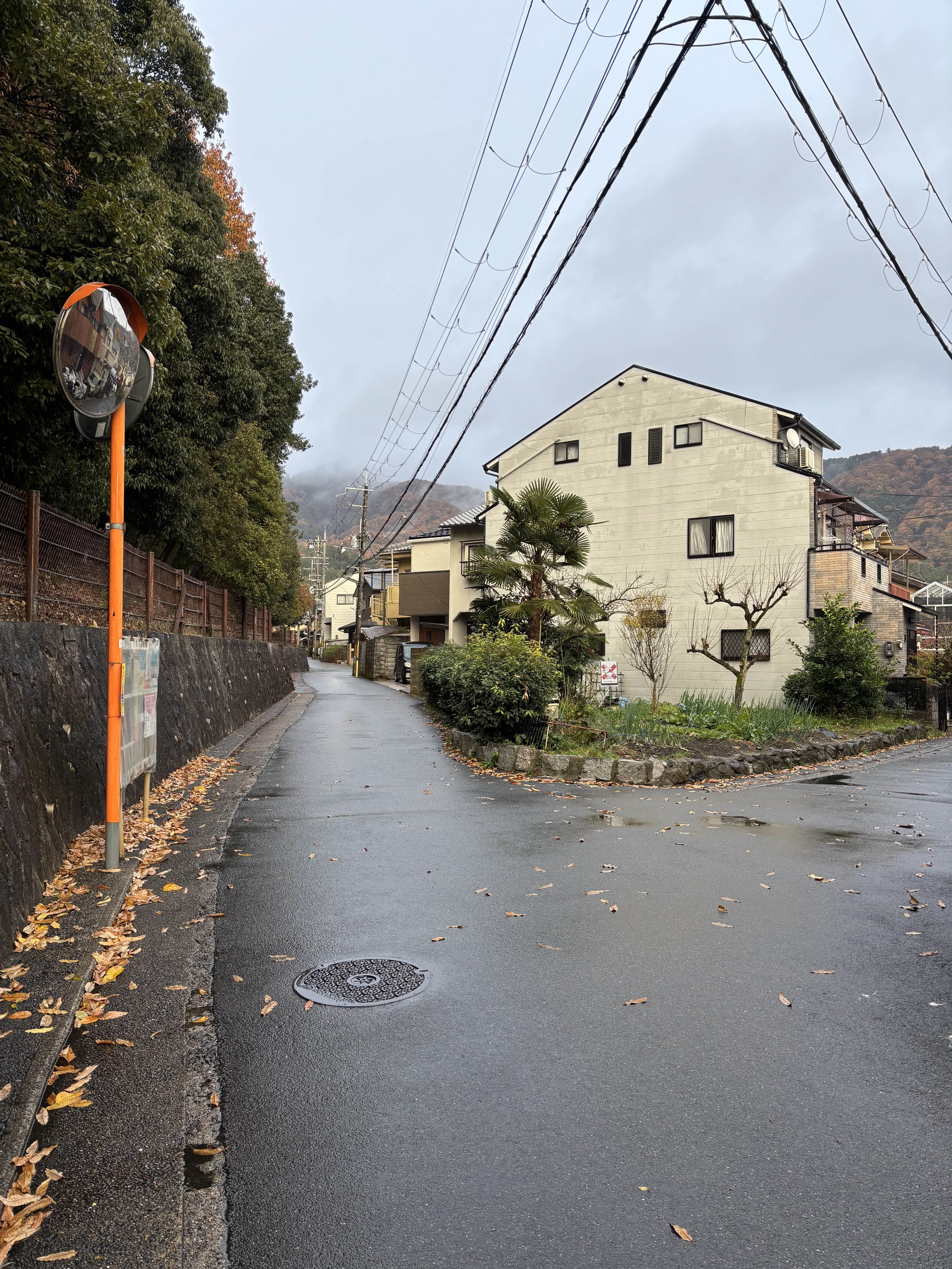 めぐる…どこだ…？winter