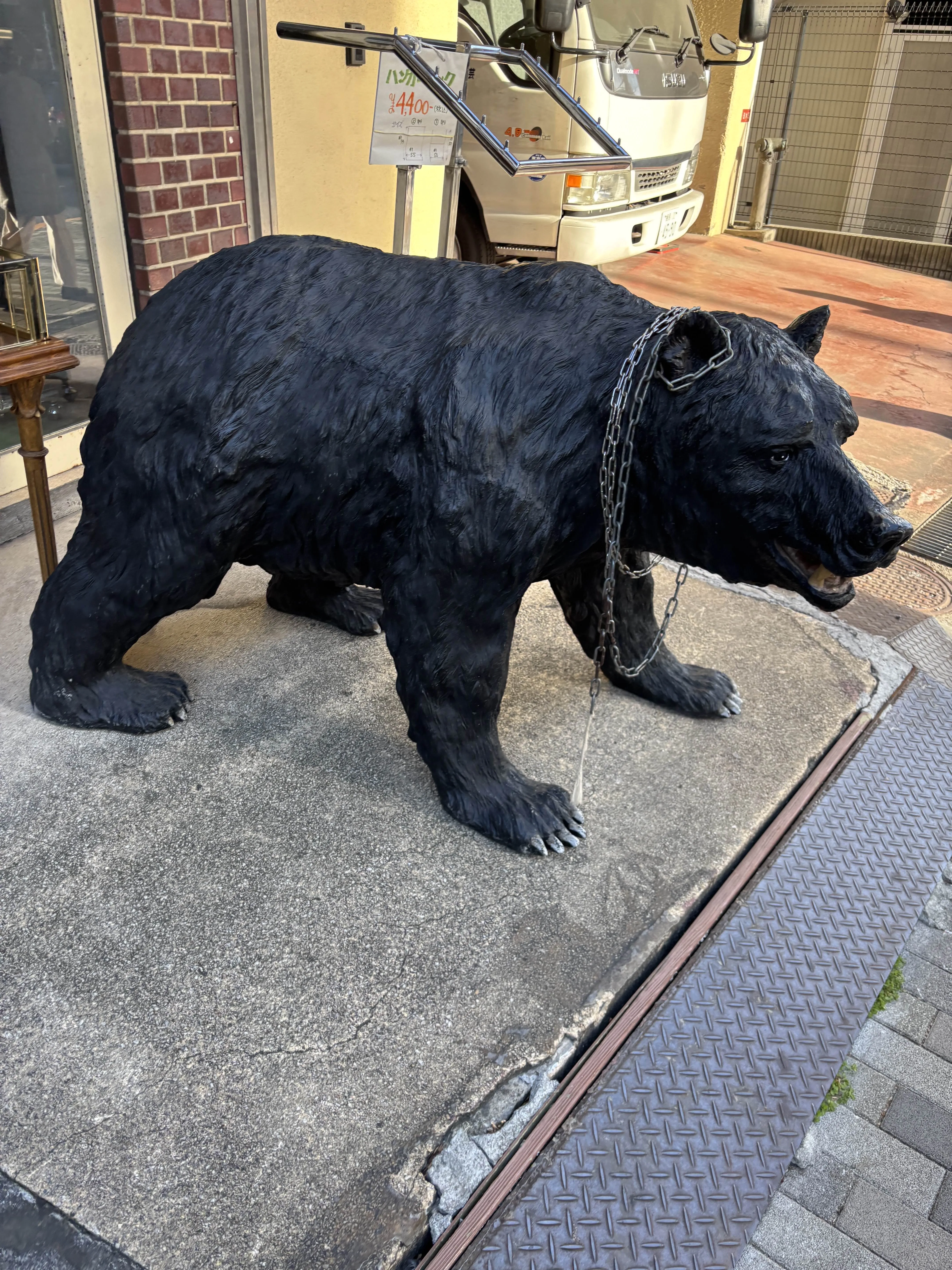 あとクマもいた。散歩中の犬がめっちゃ怖がってた