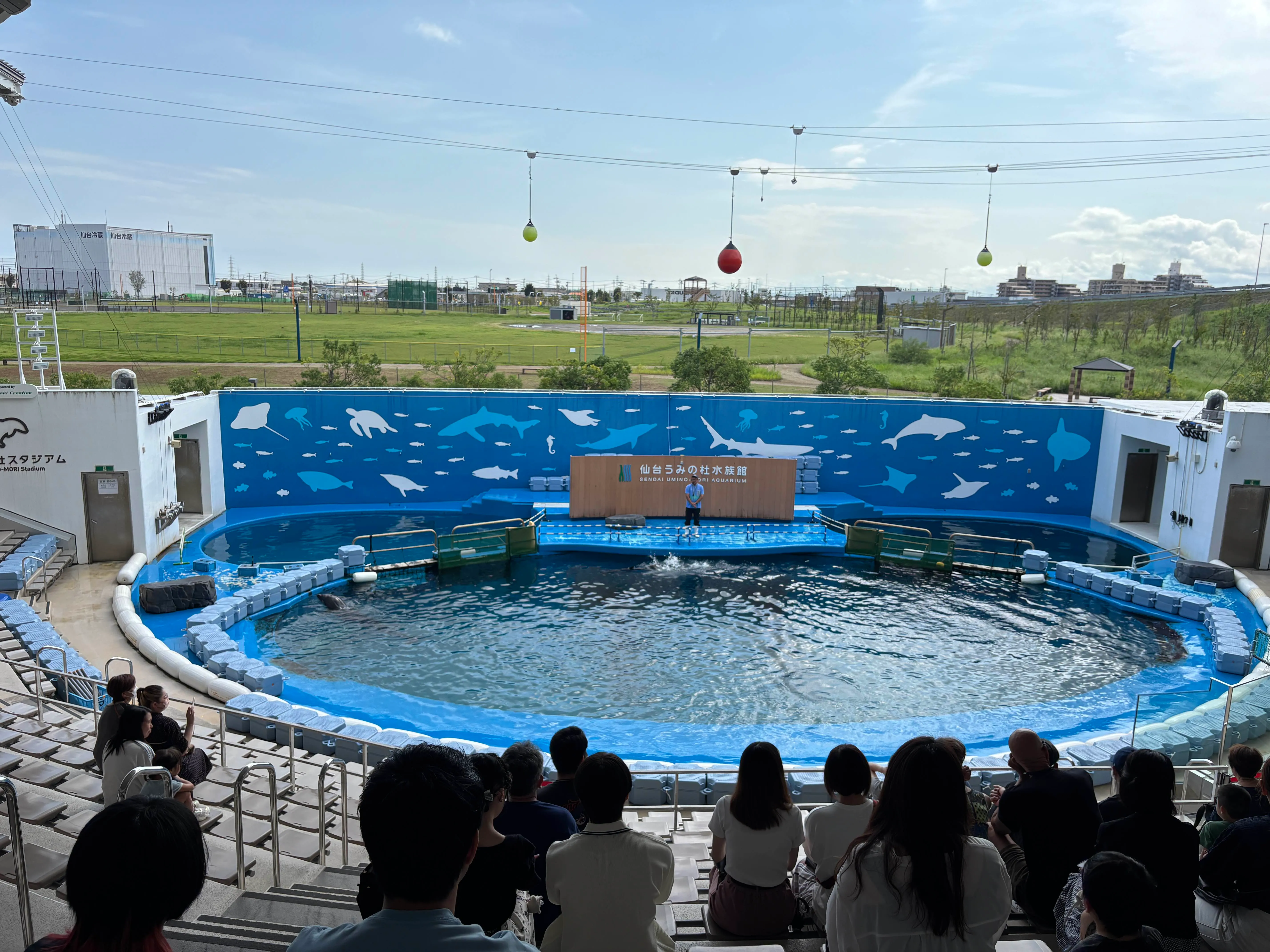 無料で予約もいらないショー、すごかった