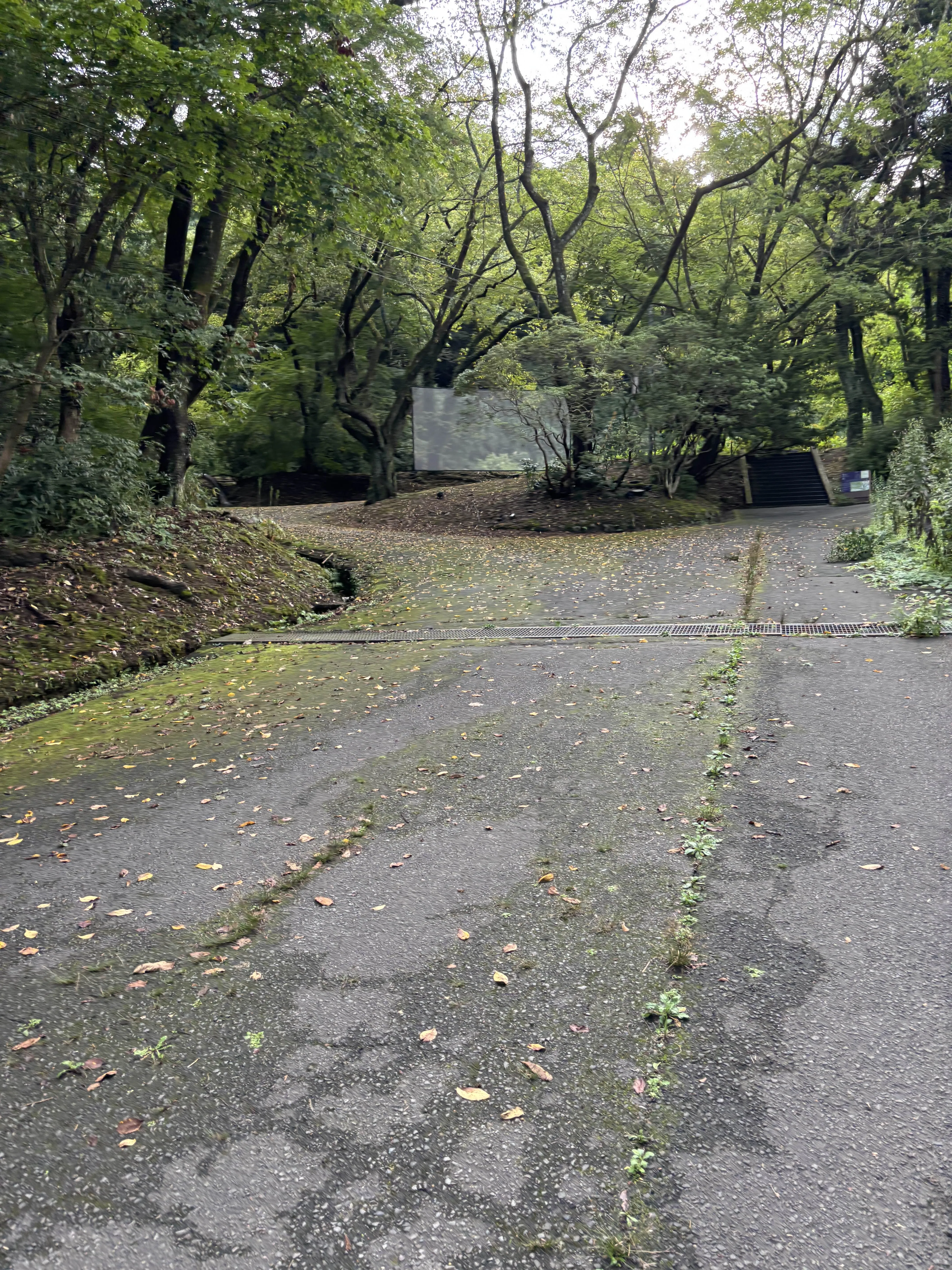 思ったよりも傾斜がきつかった；；
