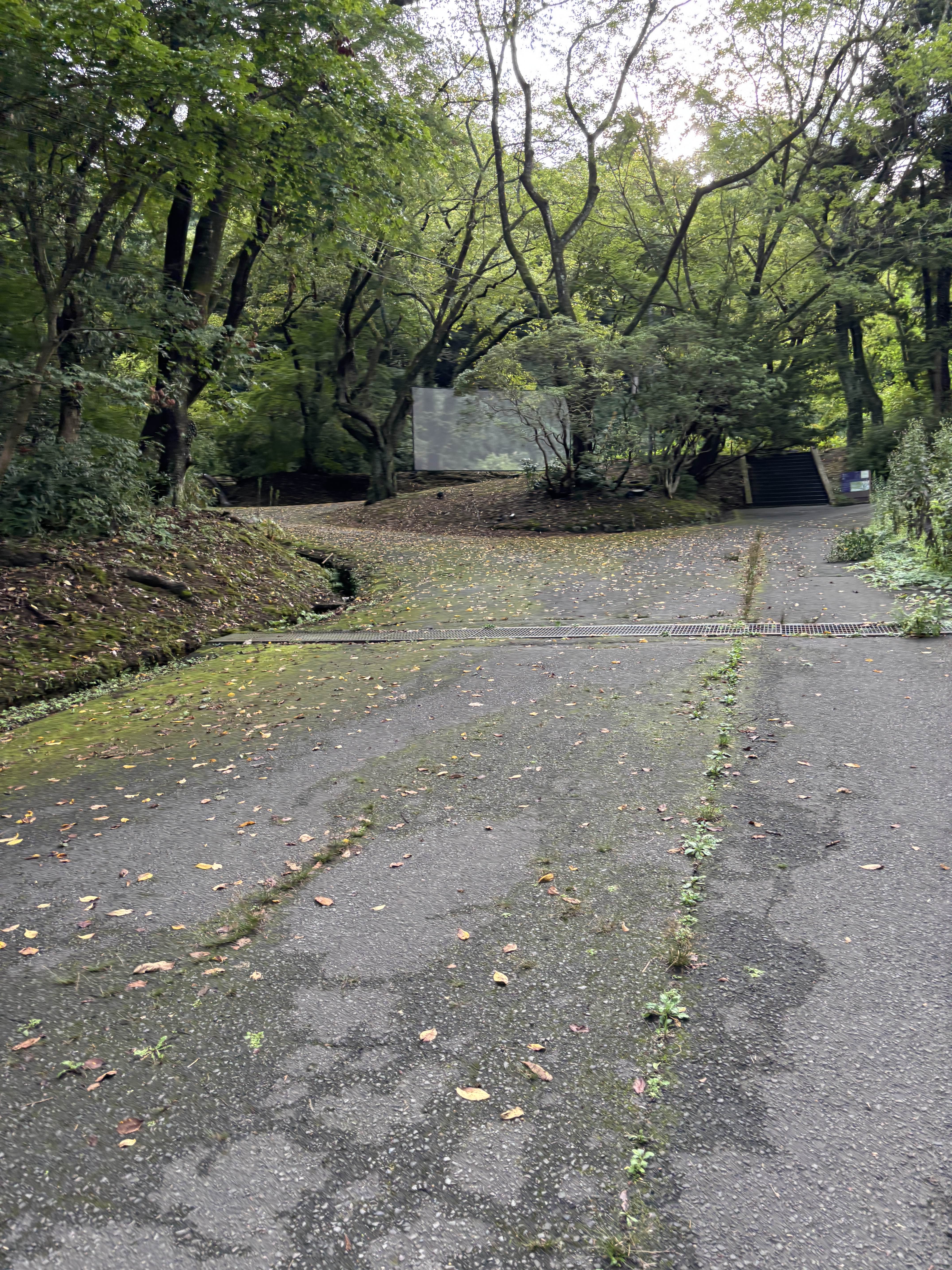 思ったよりも傾斜がきつかった；；